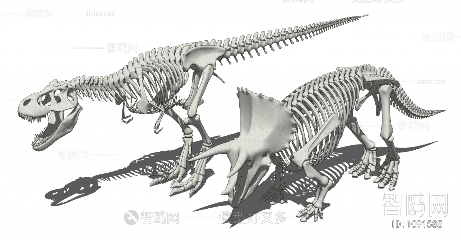 现代恐龙化石 恐龙骨架