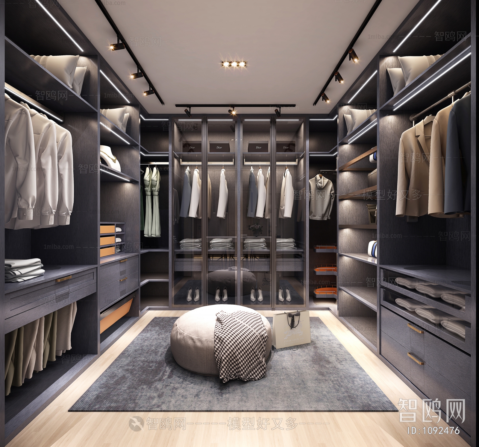 Modern Clothes Storage Area