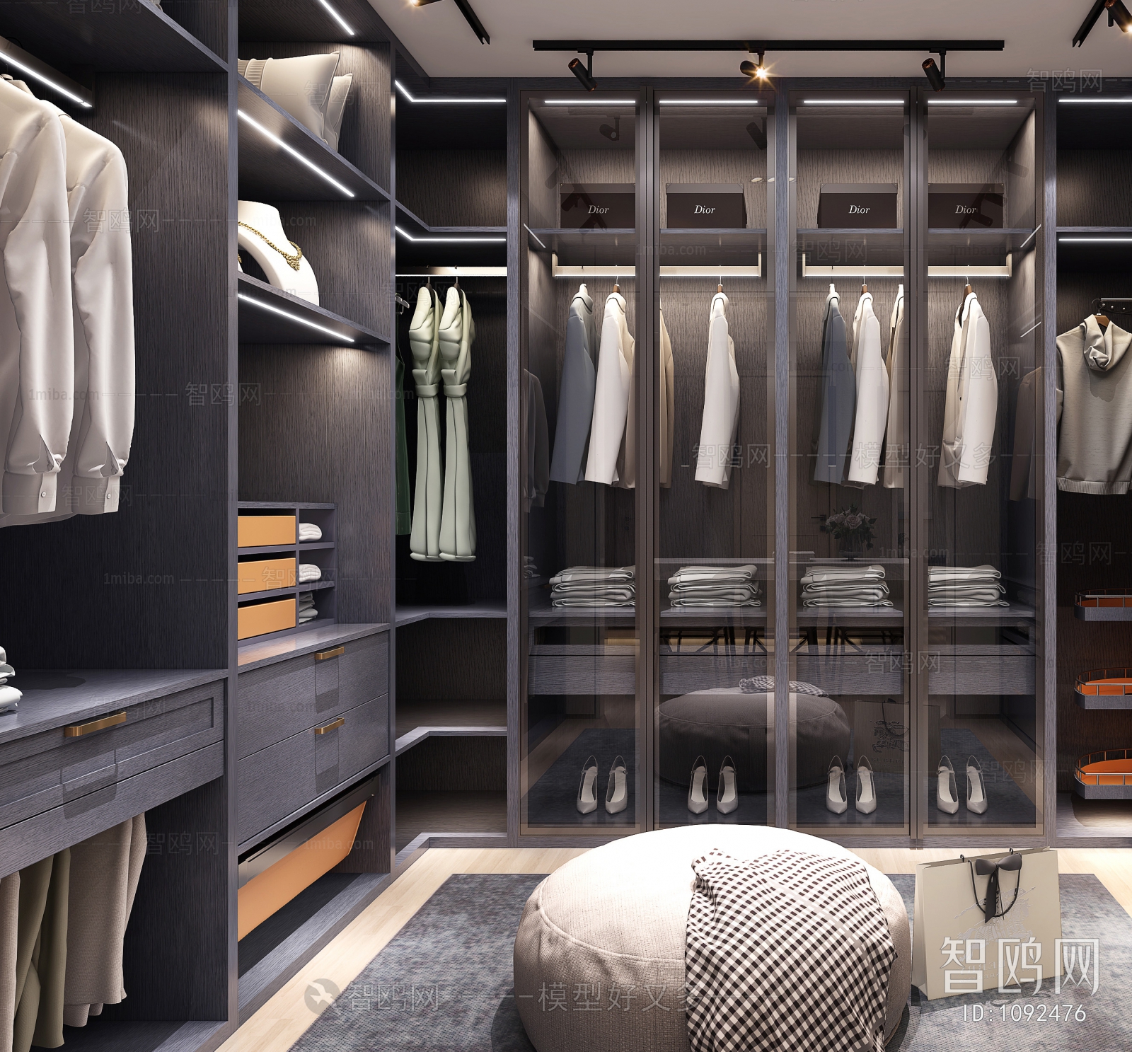 Modern Clothes Storage Area