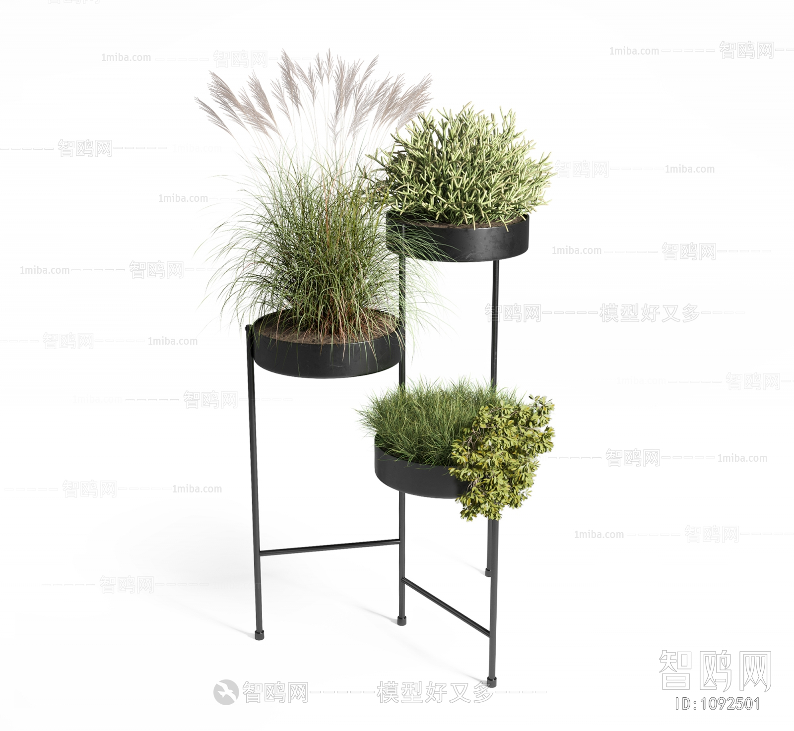 Modern Potted Green Plant