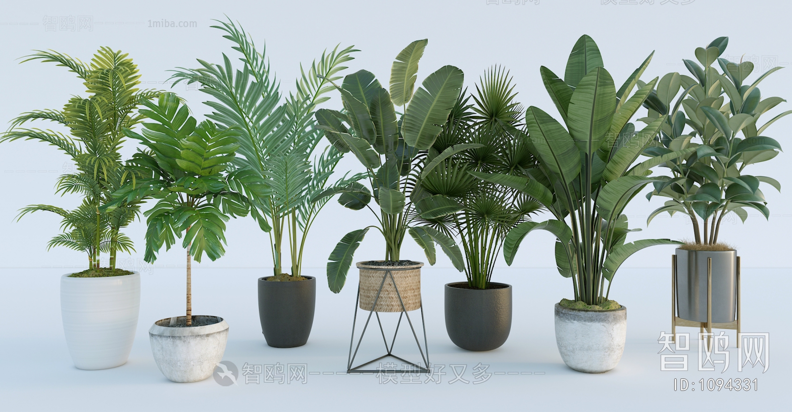 Modern Potted Green Plant