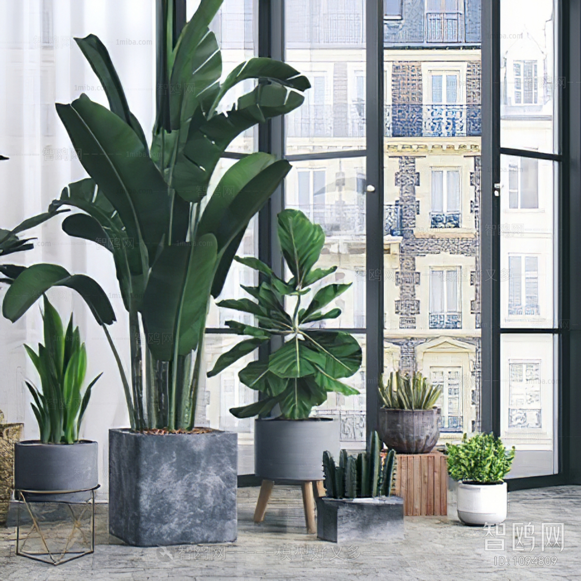 Modern Potted Green Plant