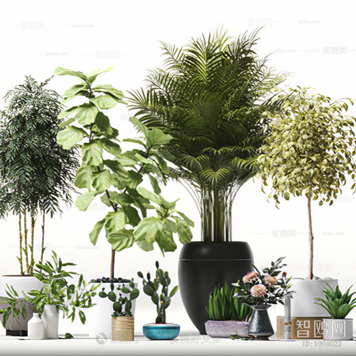 Modern Potted Green Plant