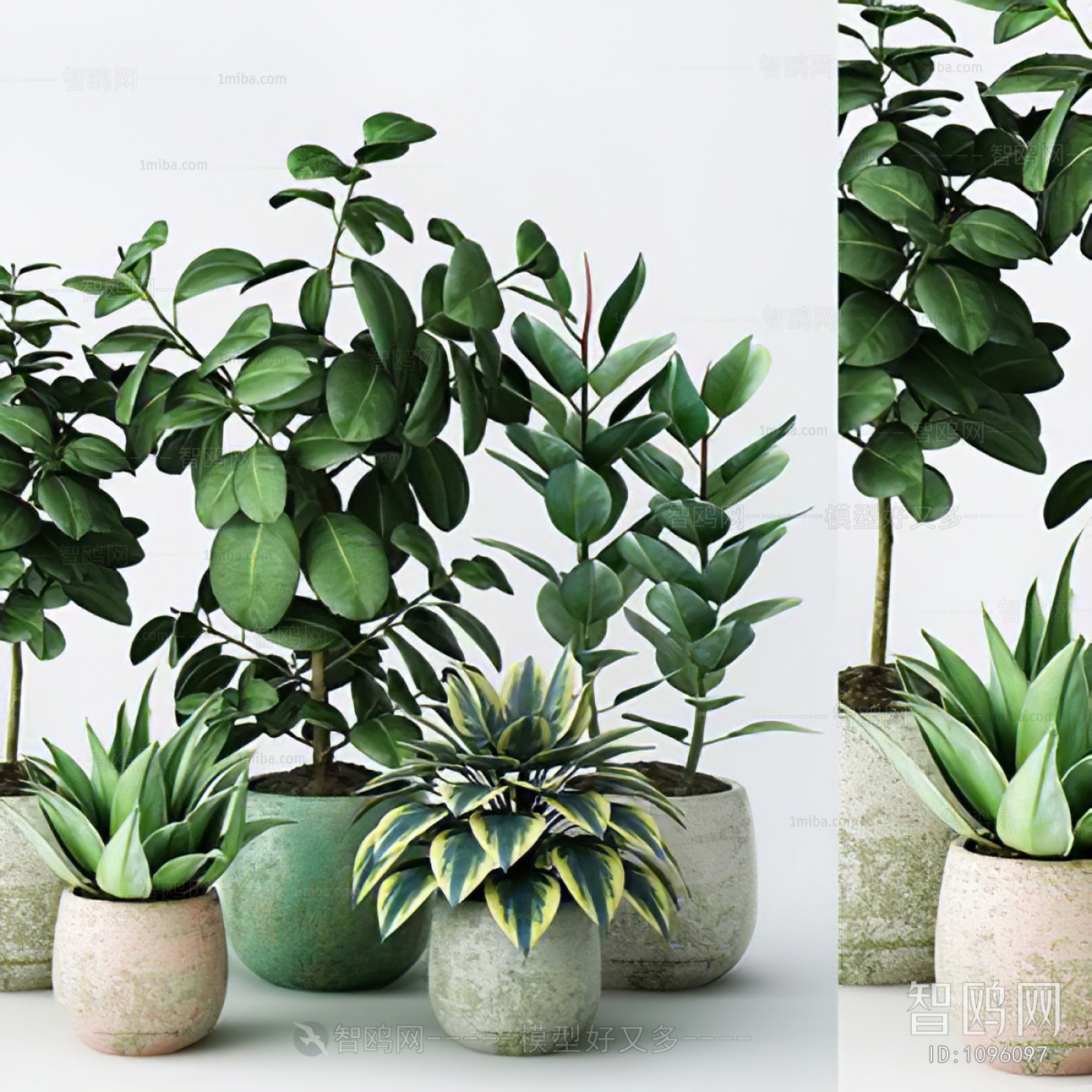 Modern Potted Green Plant