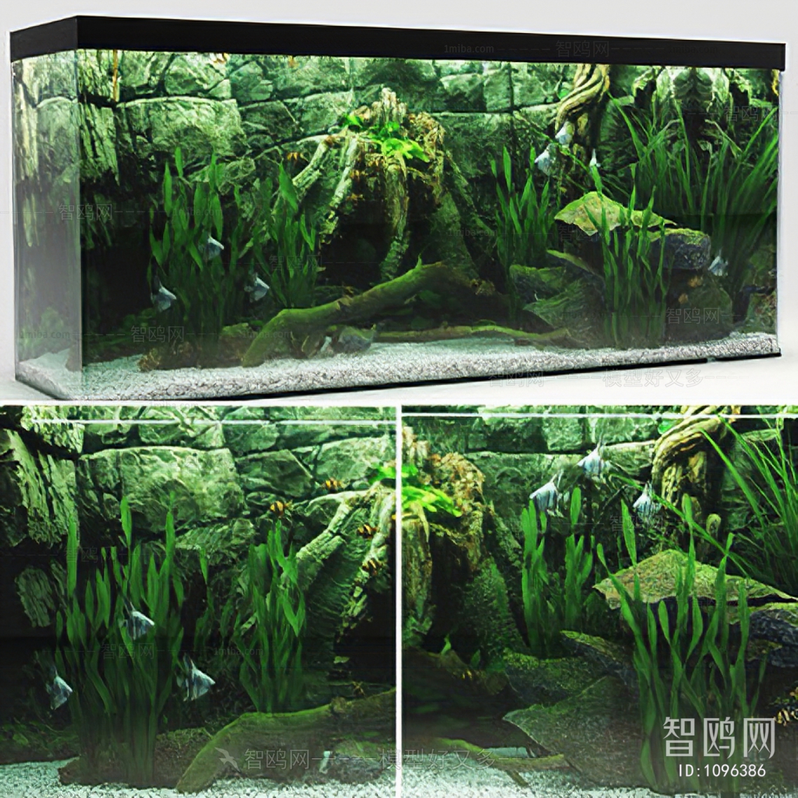 Modern Fish Tank