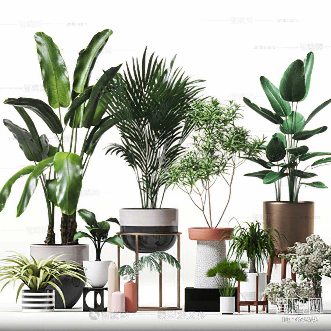 Modern Potted Green Plant