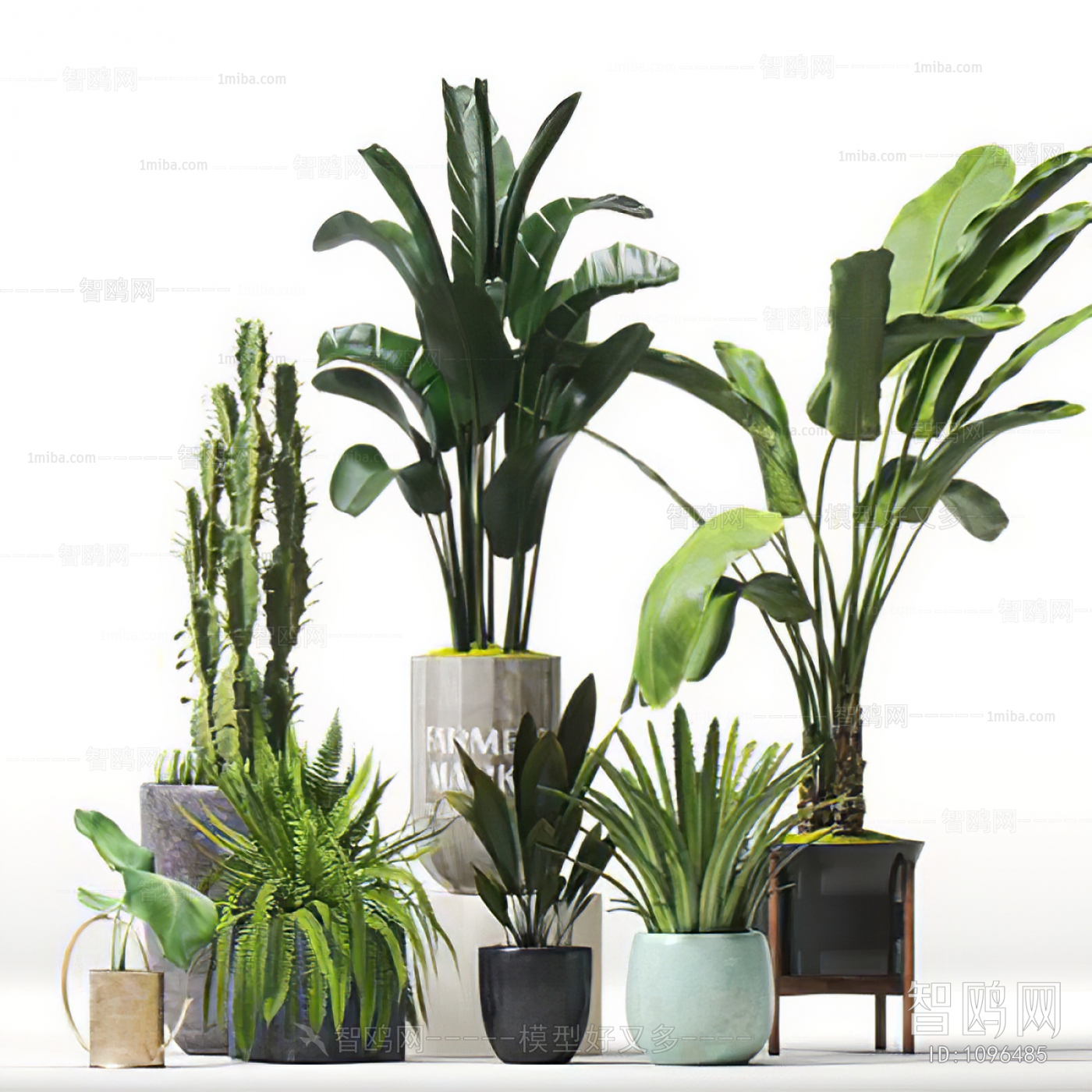 Modern Potted Green Plant