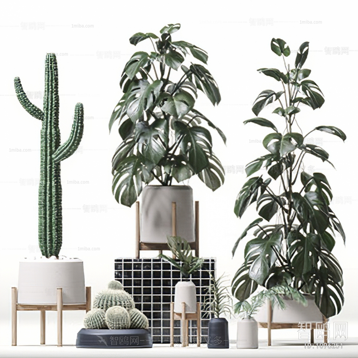 Modern Potted Green Plant