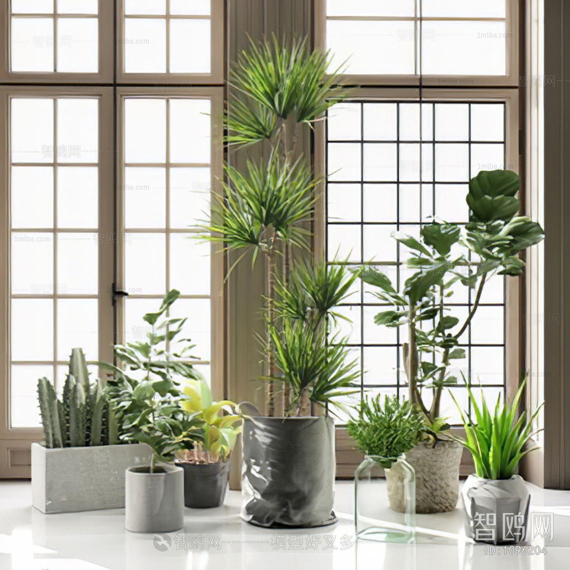 Modern Potted Green Plant