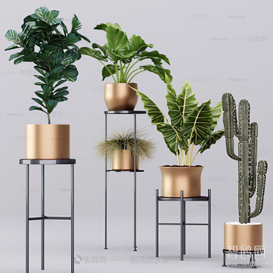 Modern Potted Green Plant