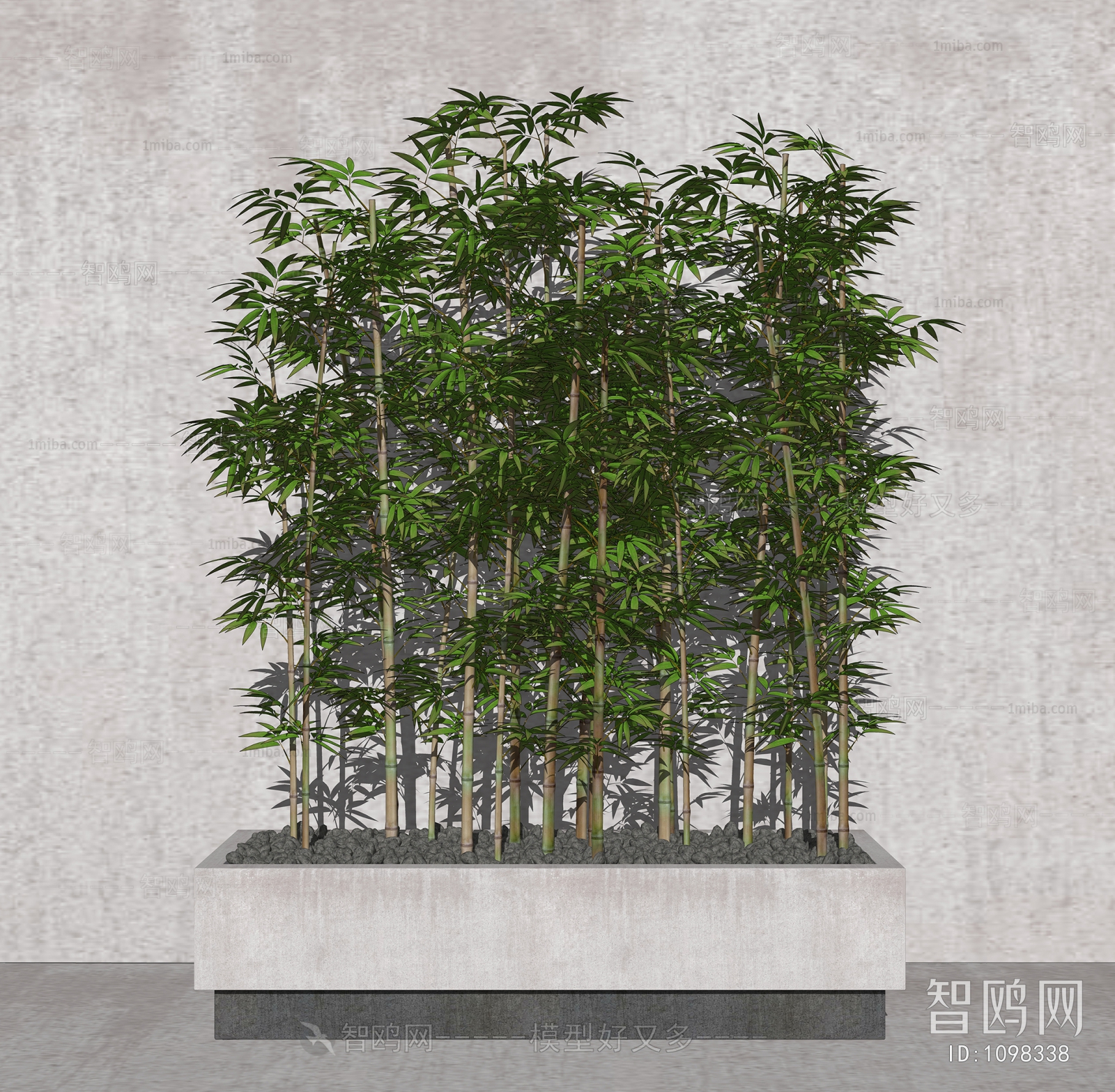 现代竹子景观植物