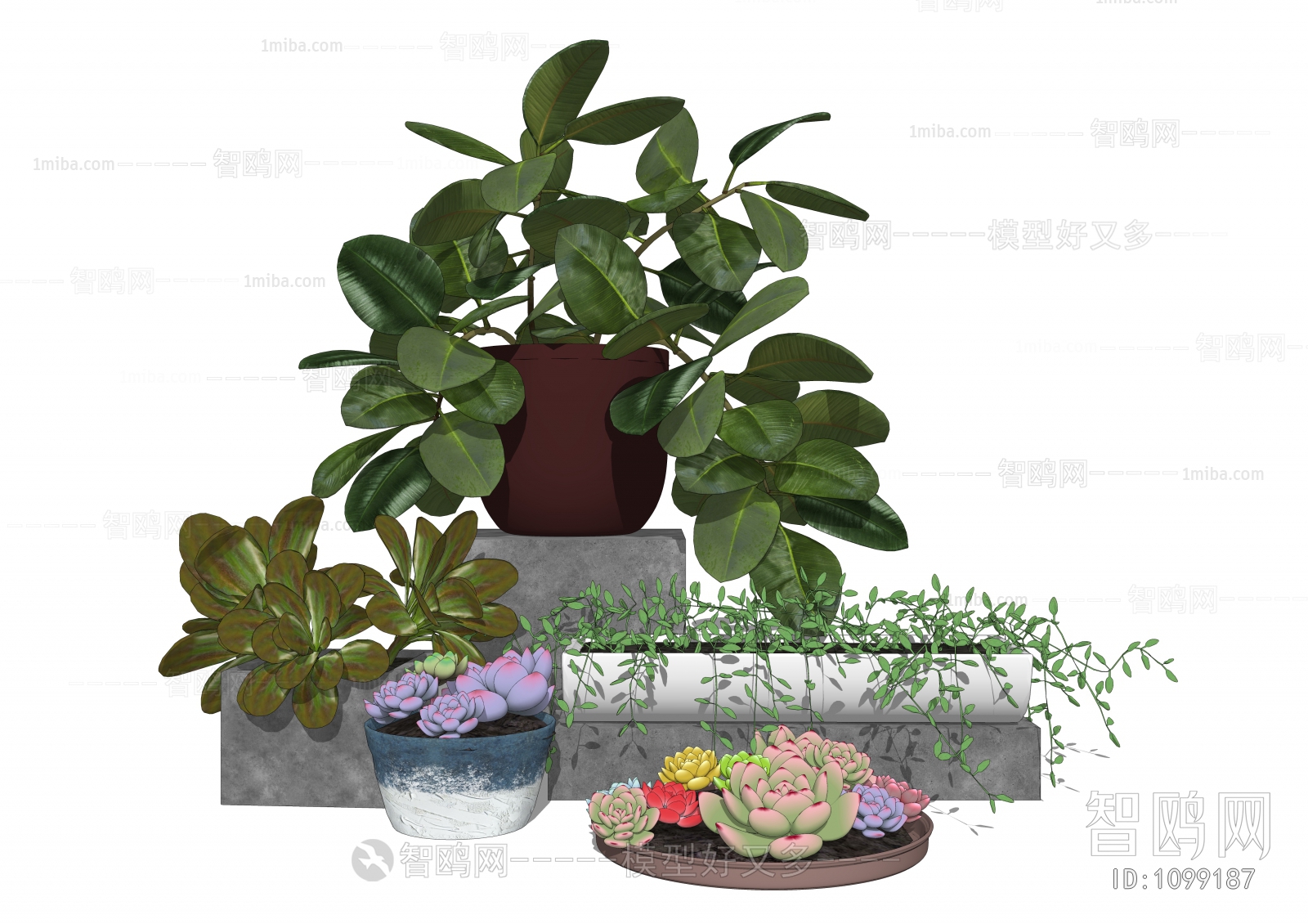 Modern Potted Green Plant