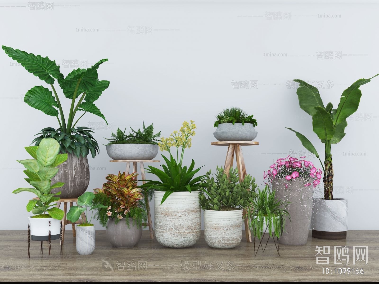 Modern Potted Green Plant