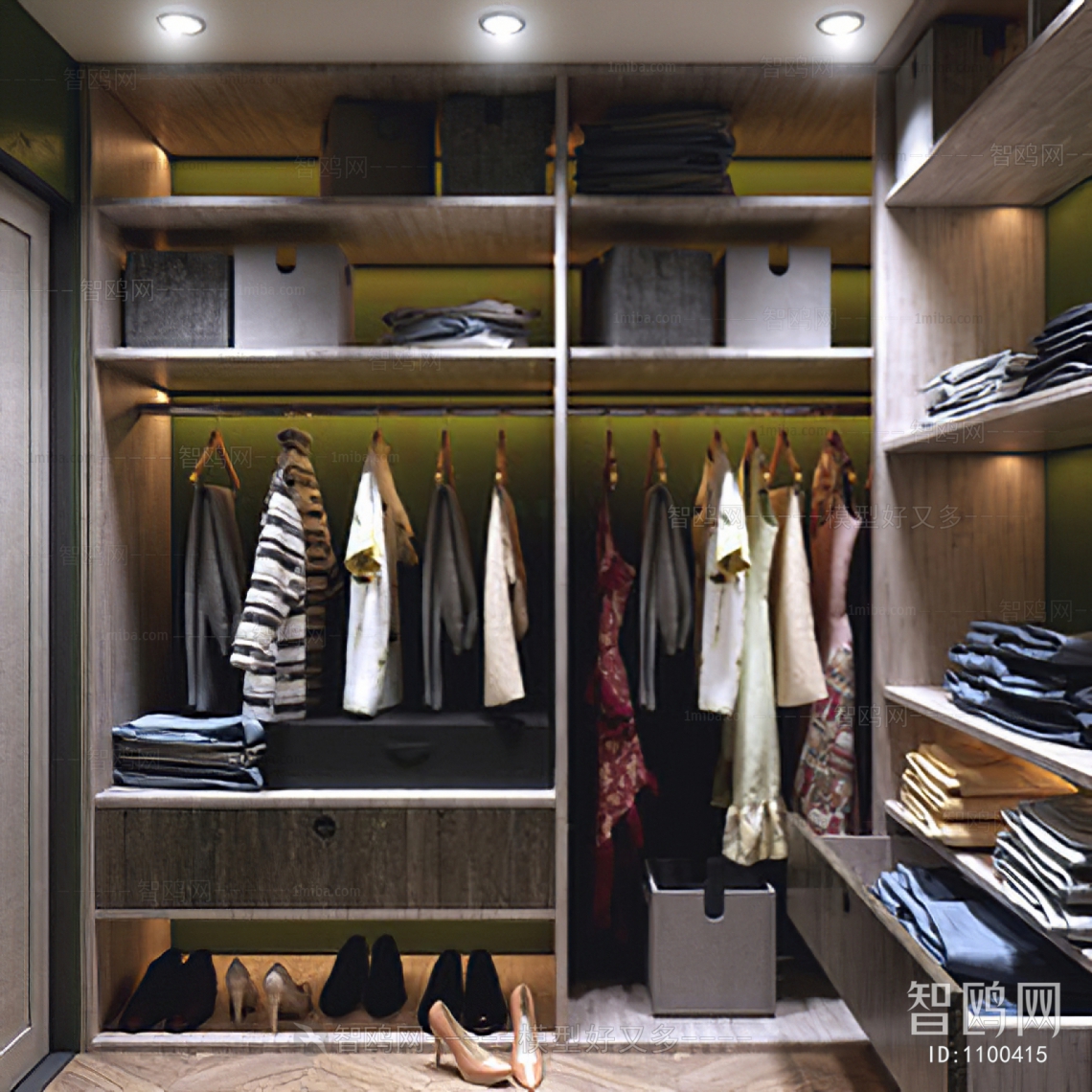 Modern Clothes Storage Area