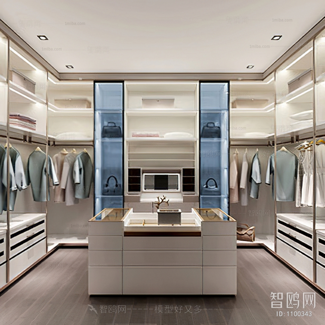 Modern Clothes Storage Area