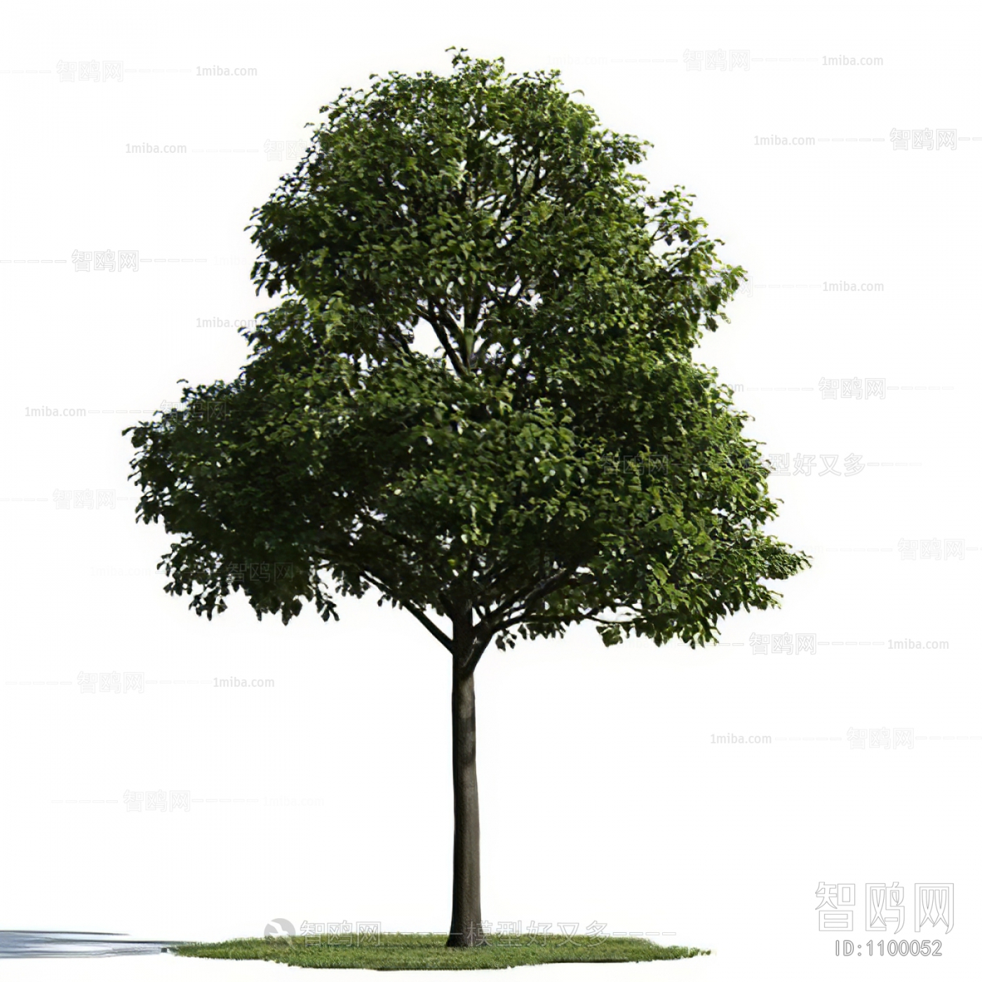 Modern Tree