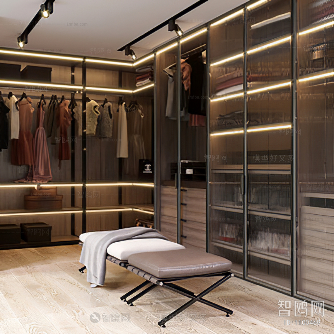 Modern Clothes Storage Area