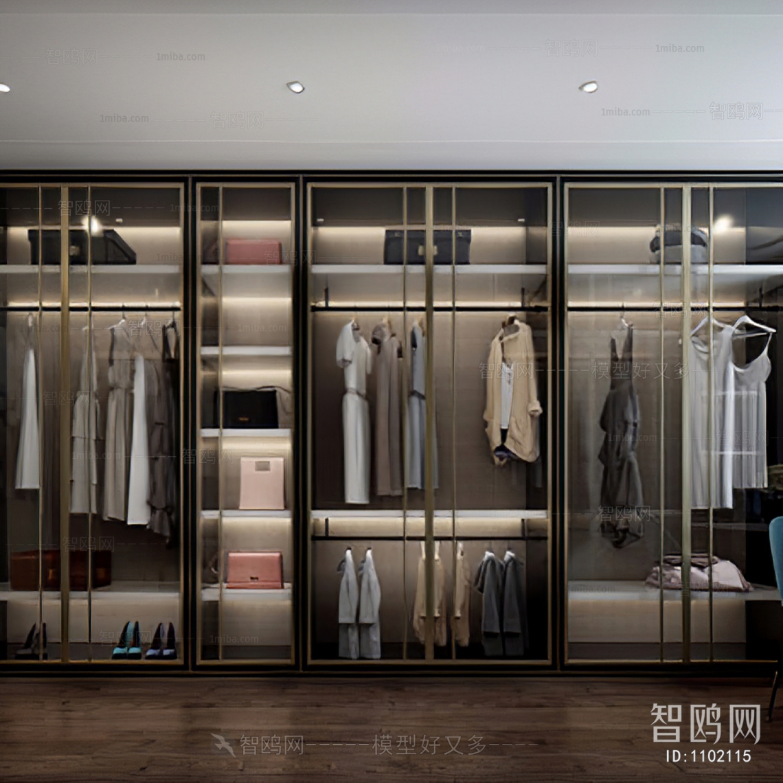 Modern Clothes Storage Area