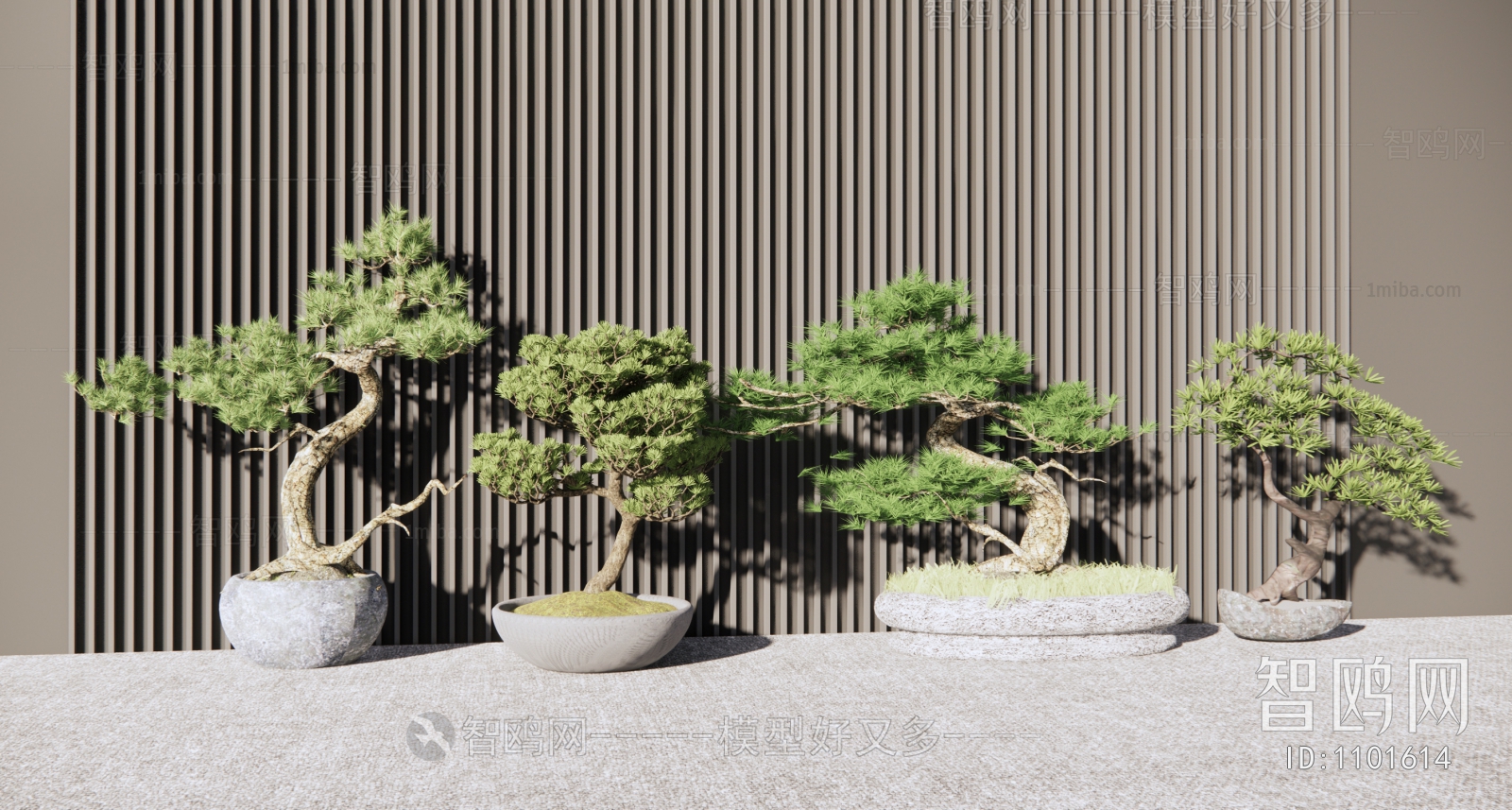 新中式松树盆栽
