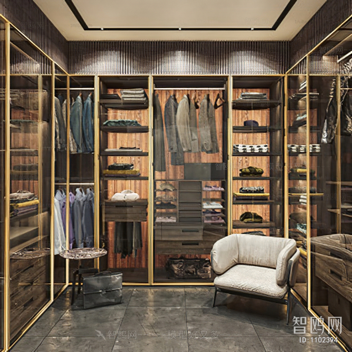 Modern Clothes Storage Area