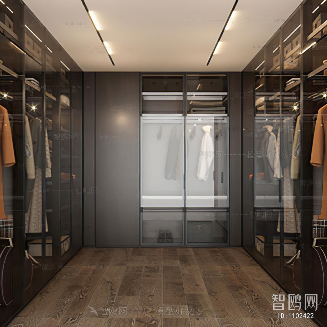 Modern Clothes Storage Area