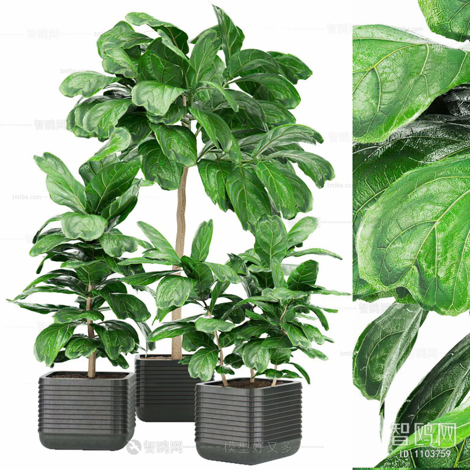 Modern Potted Green Plant