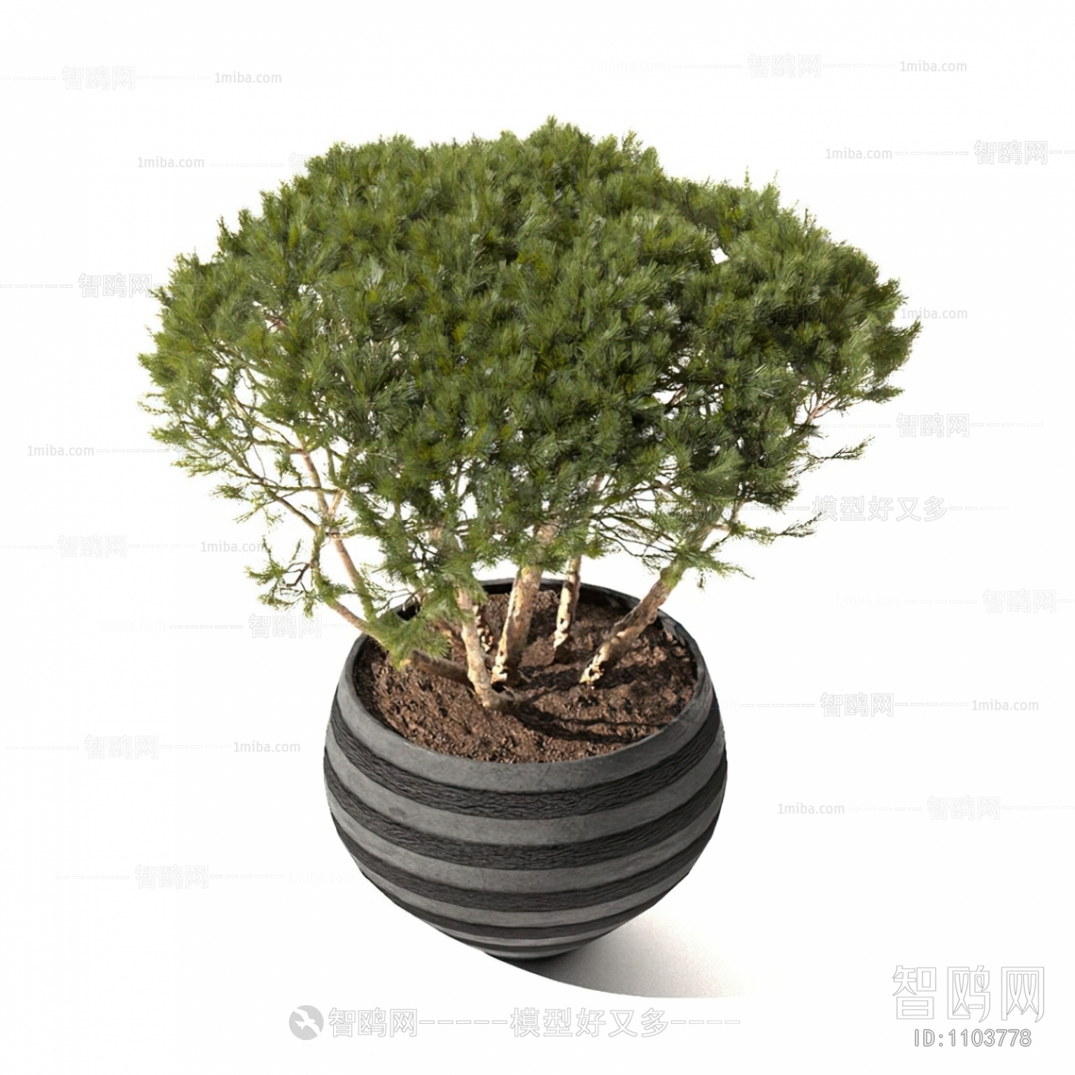 Modern Shrubbery