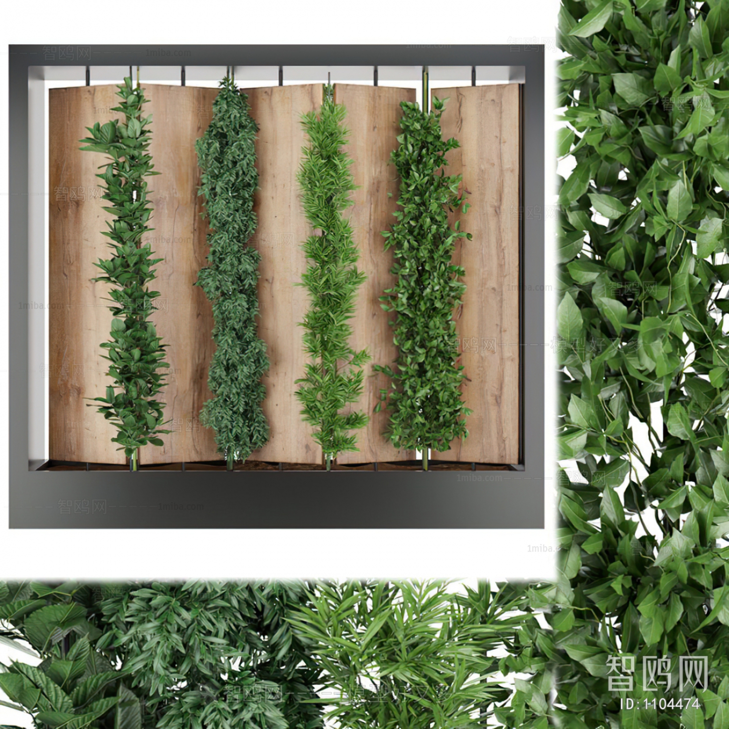 Modern Plant Wall