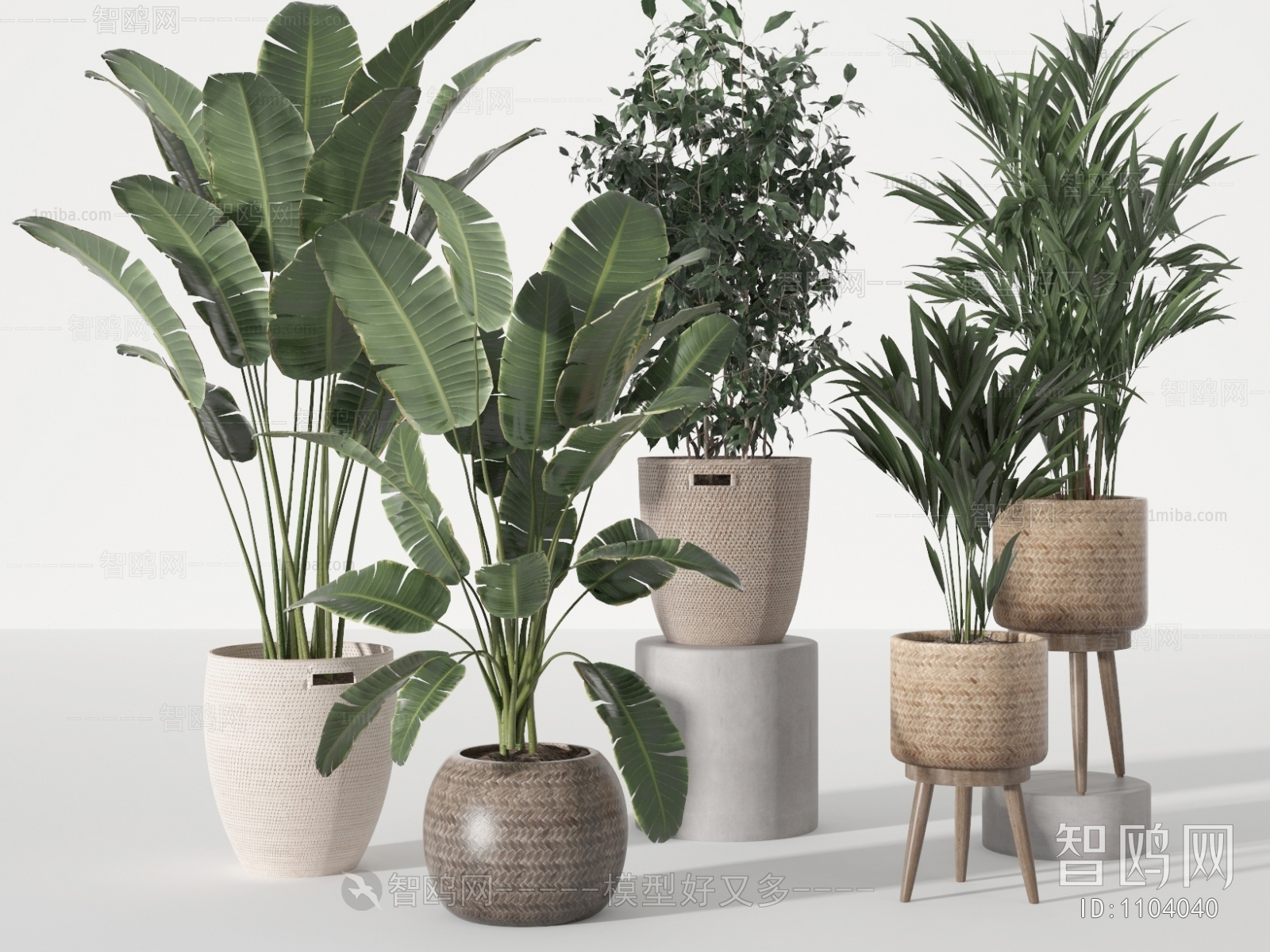 Modern Potted Green Plant