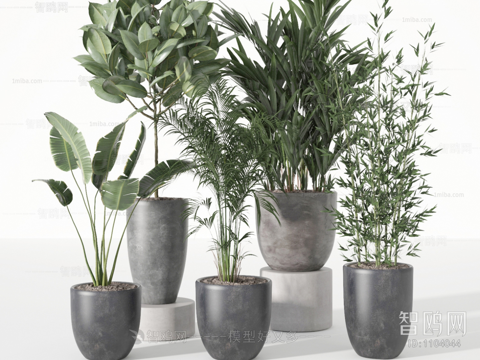 Modern Potted Green Plant