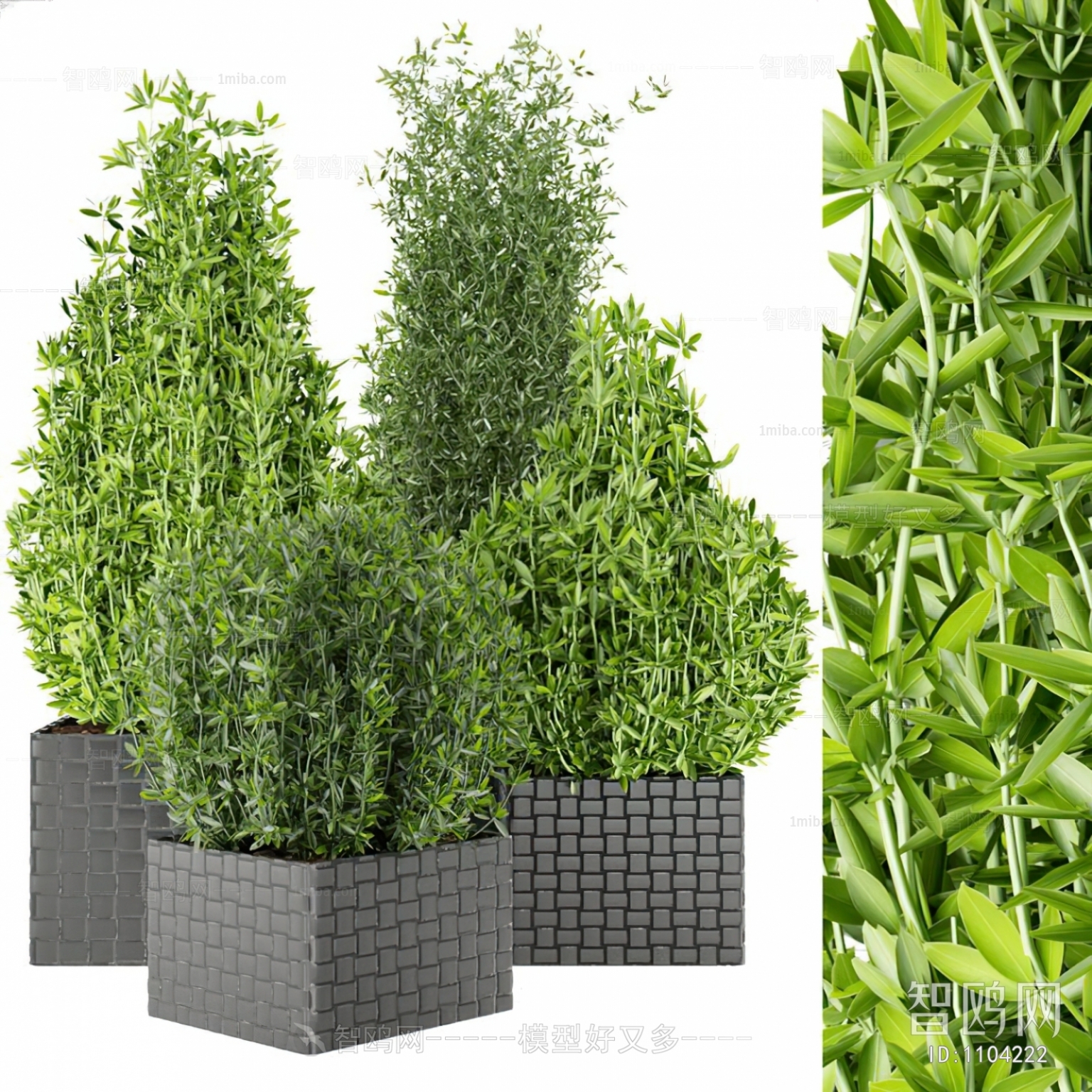 Modern Potted Green Plant