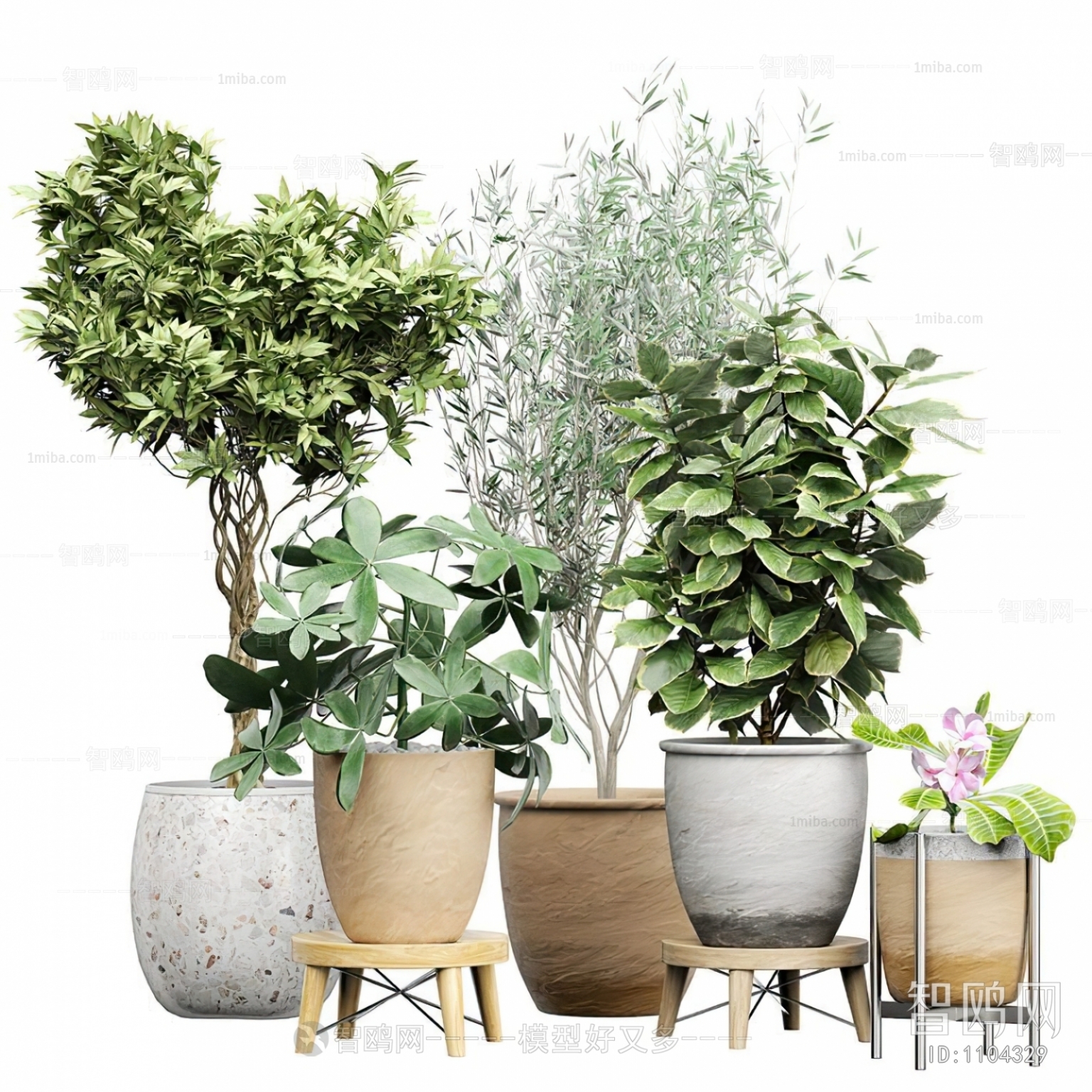 Modern Potted Green Plant