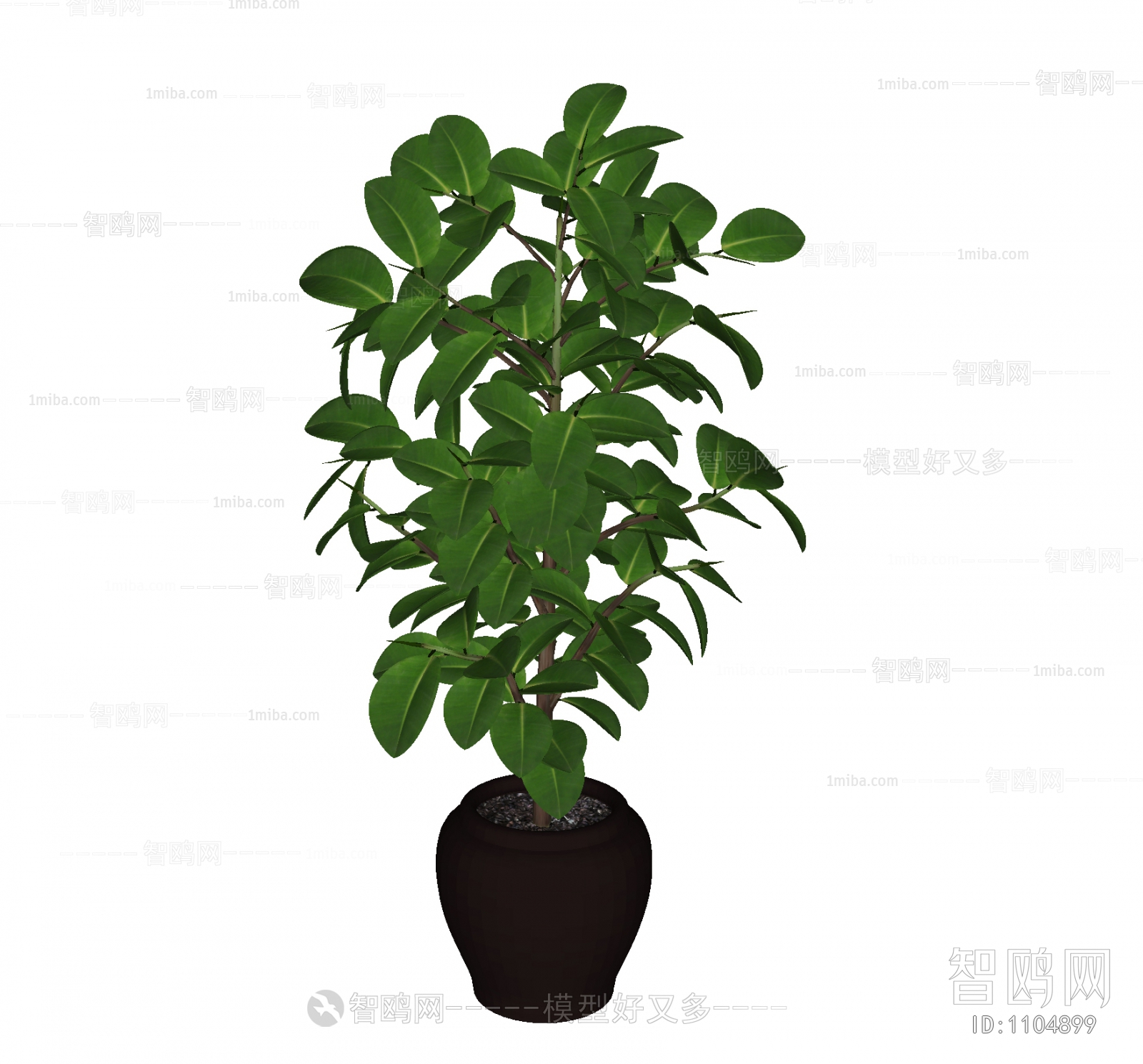 Modern Potted Green Plant