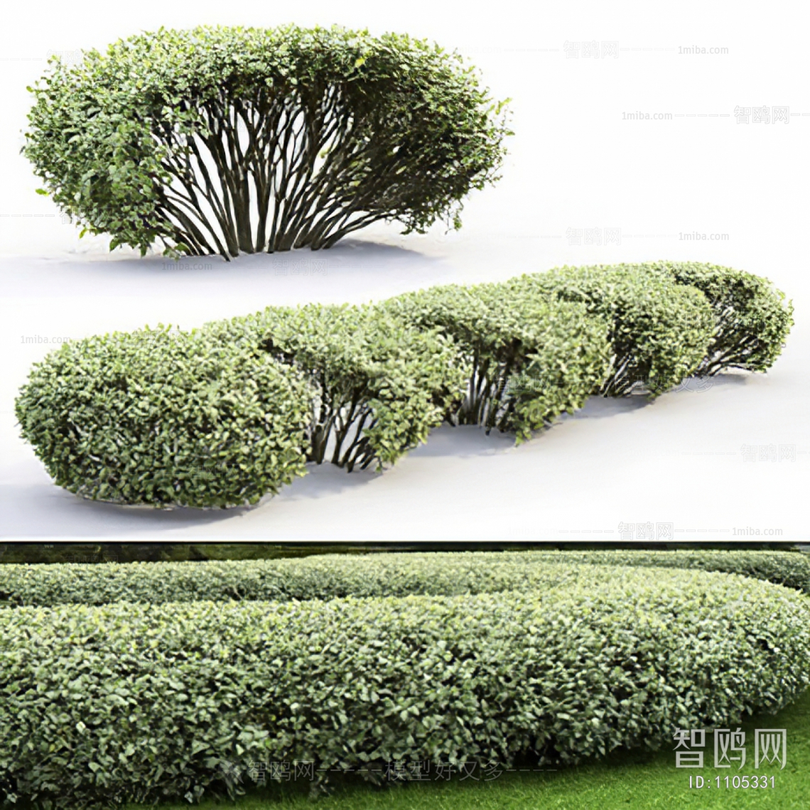 Modern Shrubbery