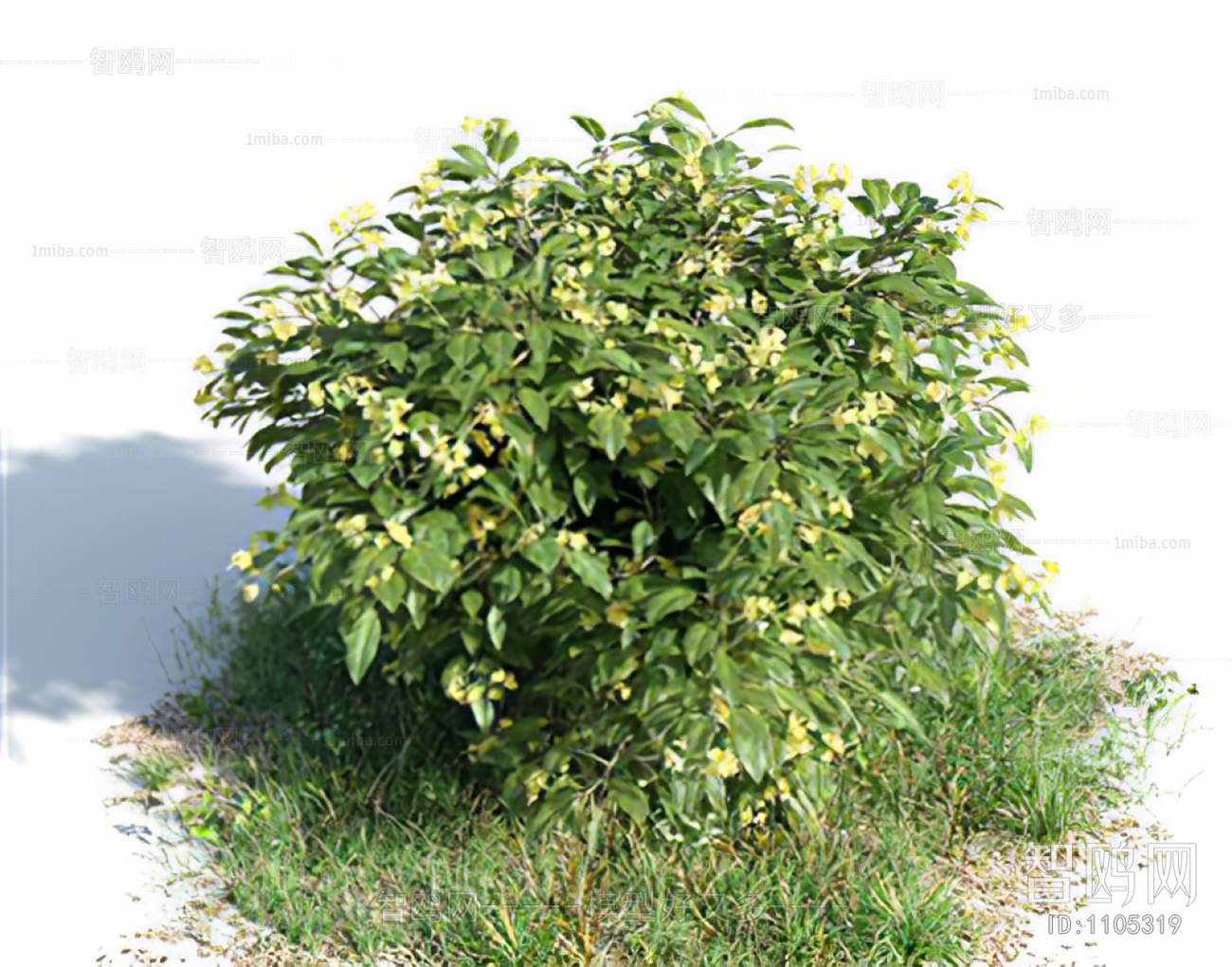 Modern Shrubbery