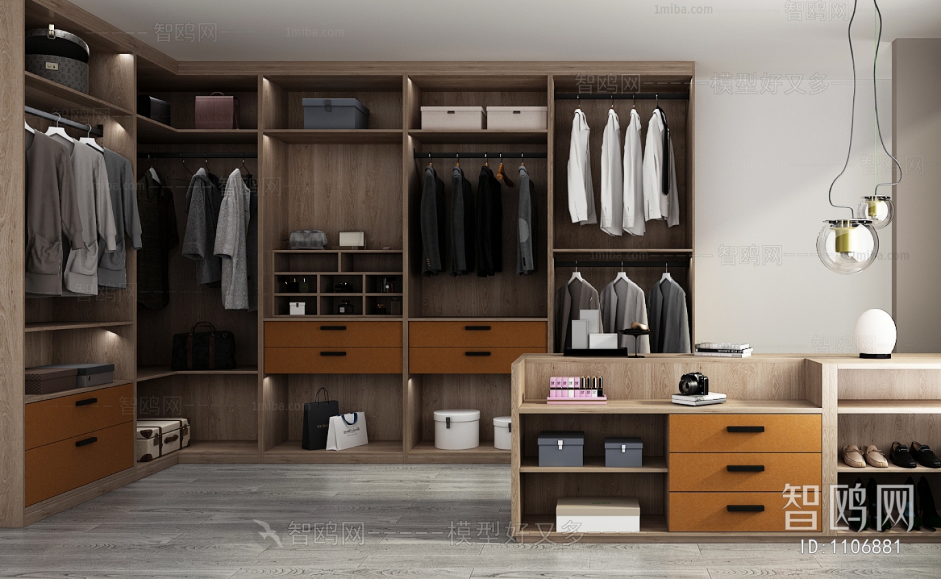 Modern Clothes Storage Area