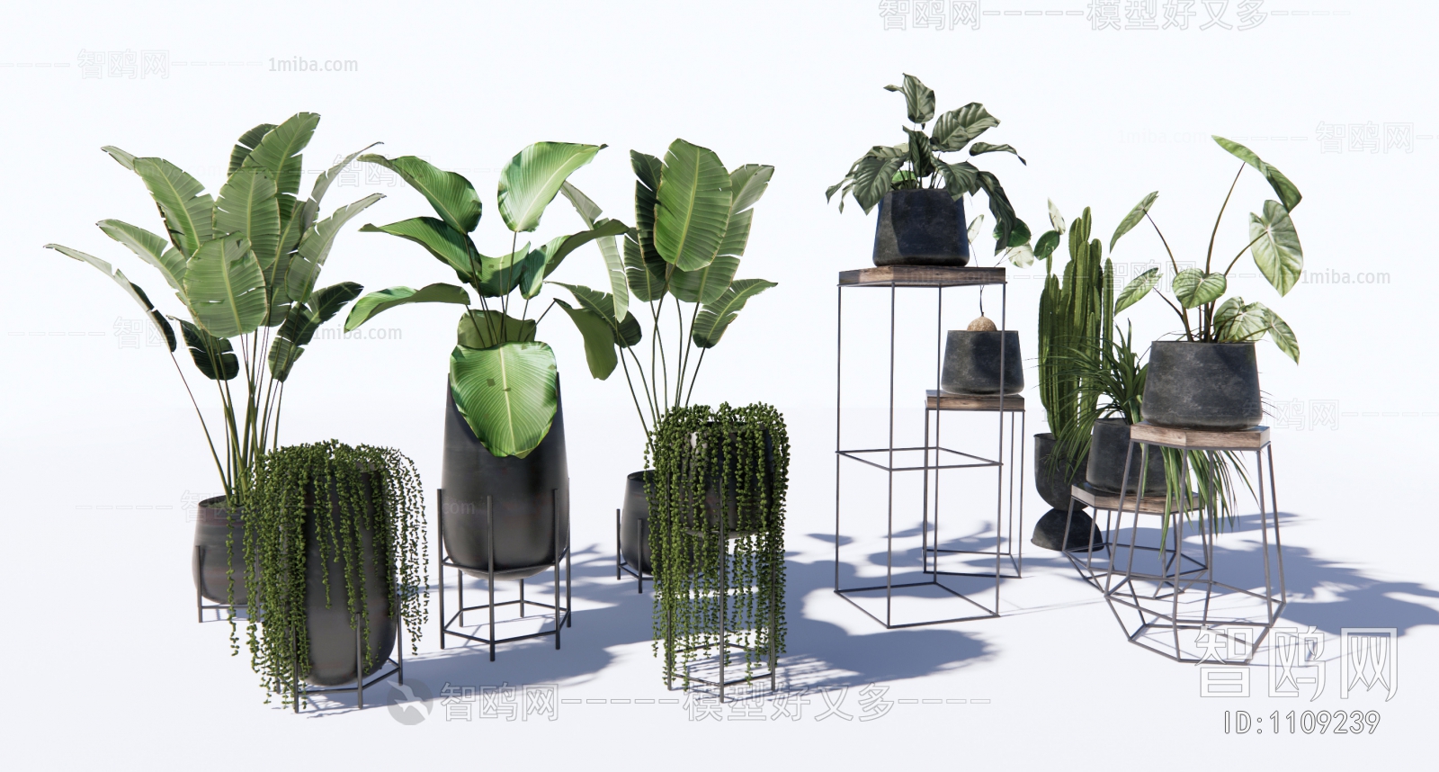 Modern Potted Green Plant