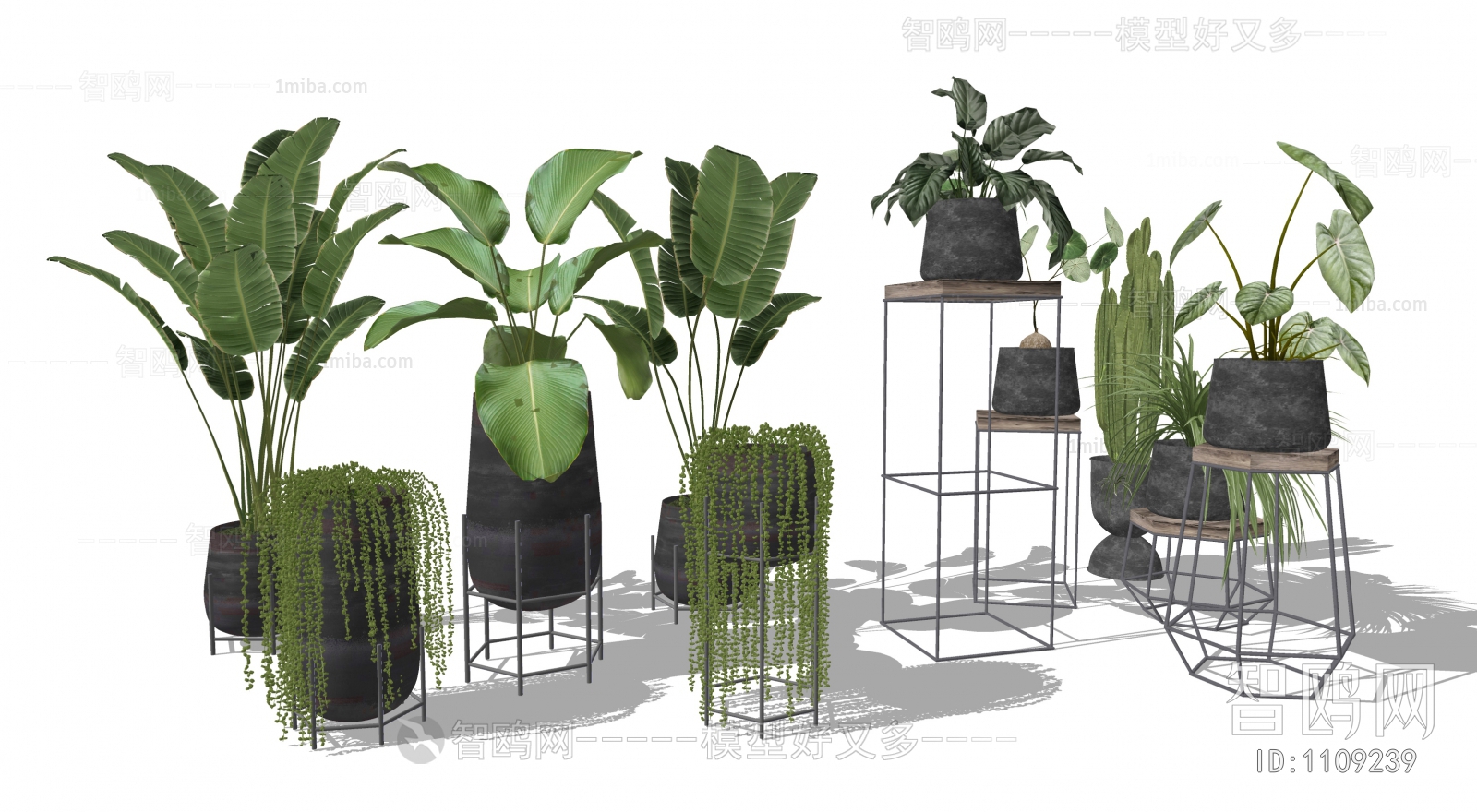 Modern Potted Green Plant