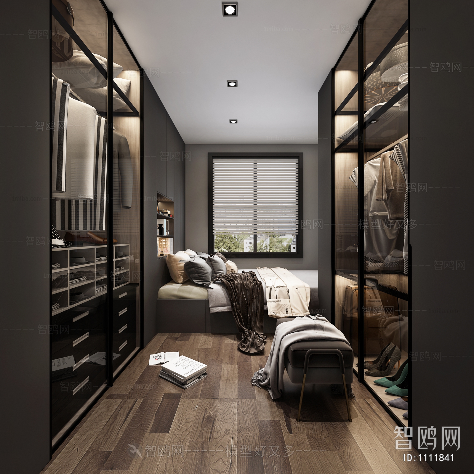 Modern Clothes Storage Area