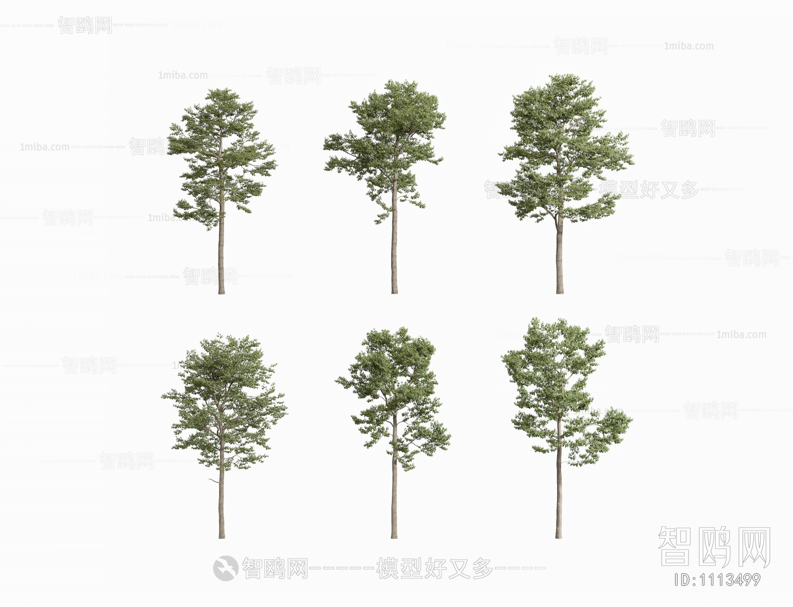 Modern Tree