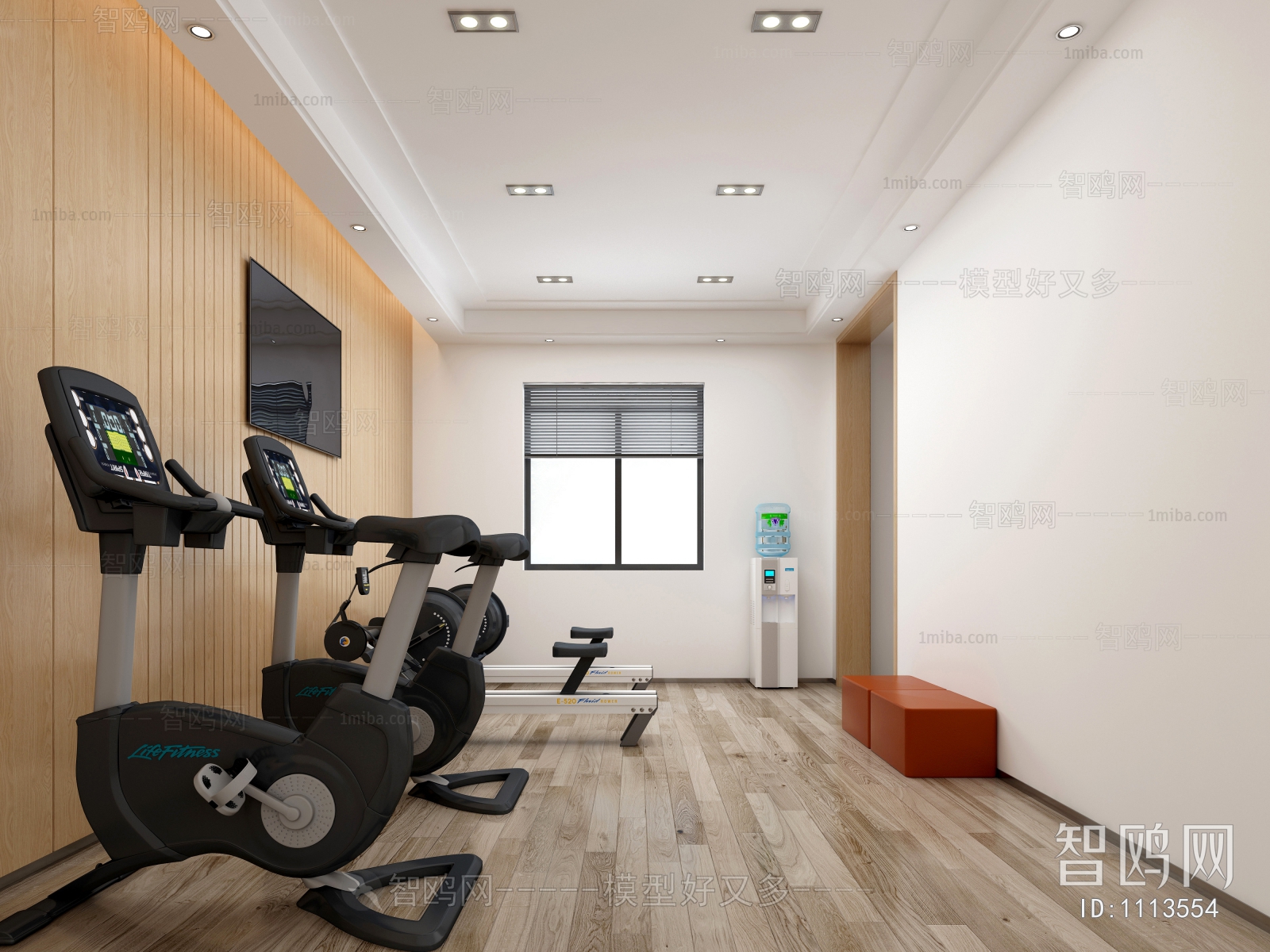 Modern Gym