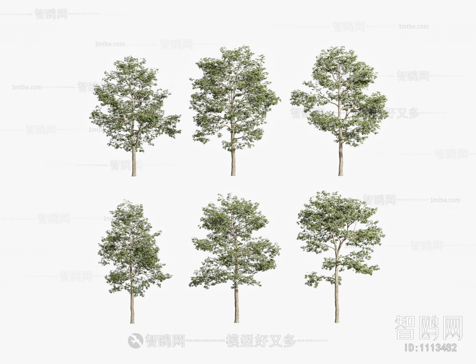 Modern Tree