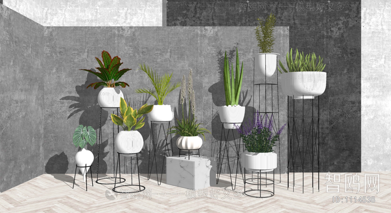 Modern Potted Green Plant