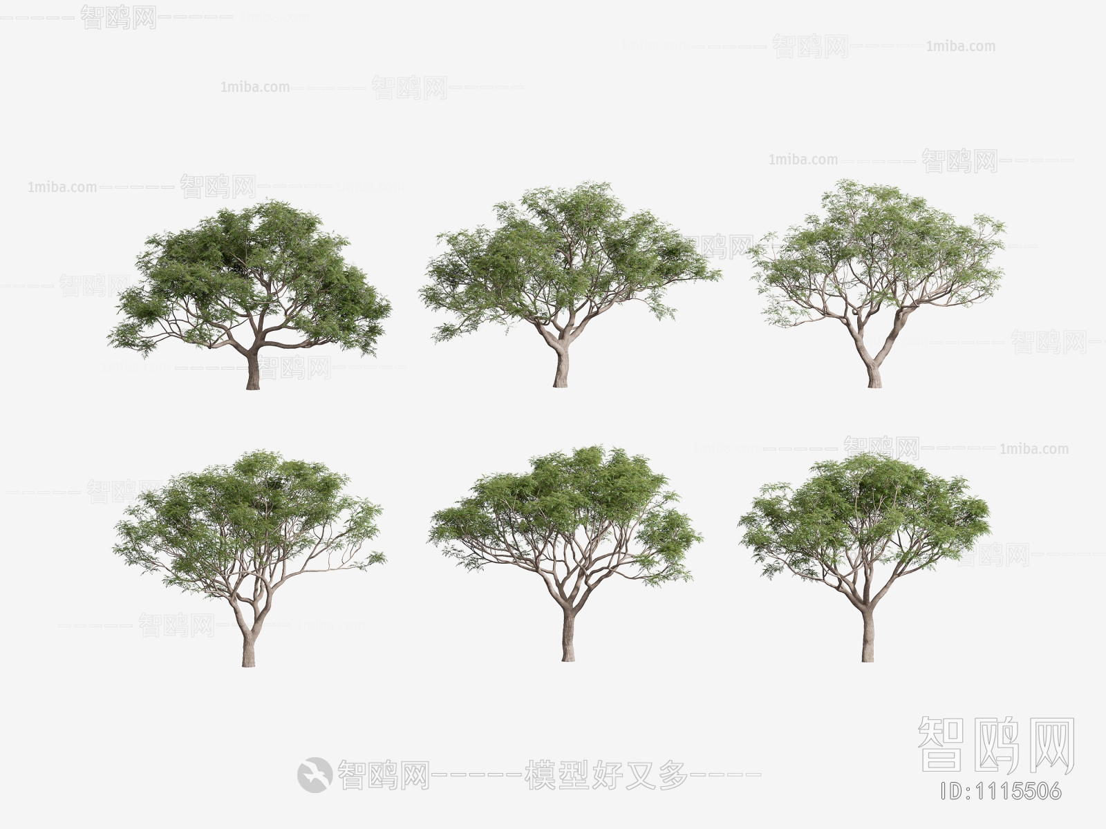 Modern Tree