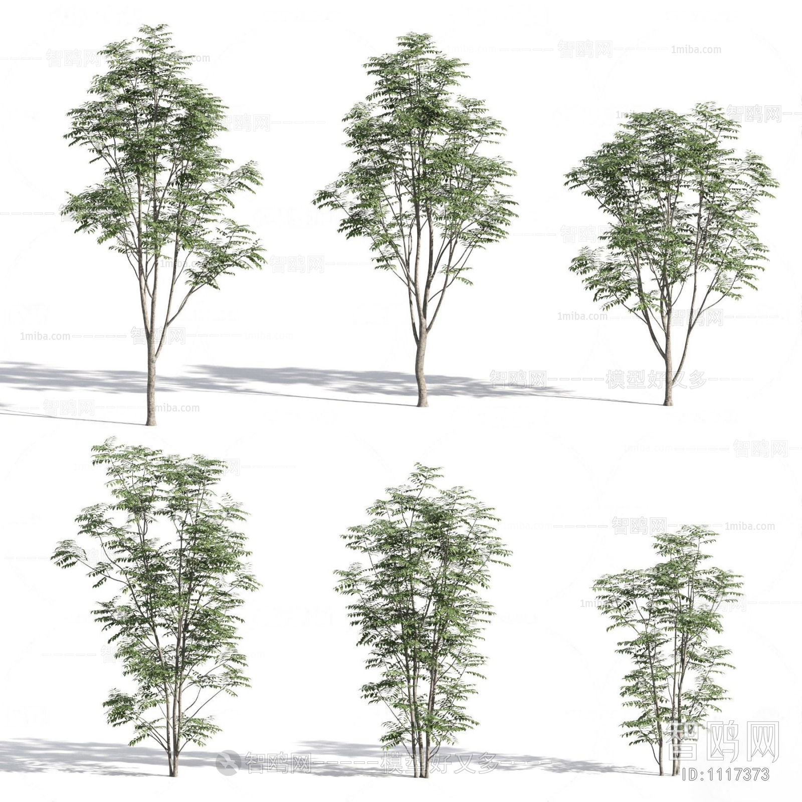 Modern Tree