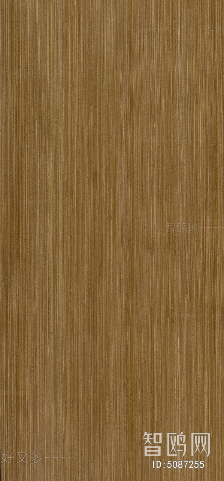 Wood Texture