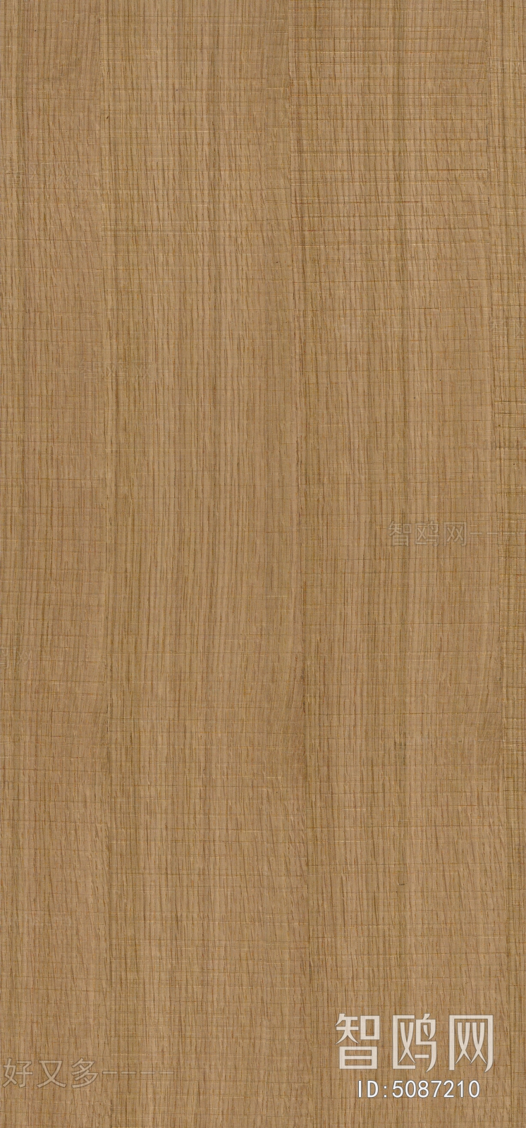 Wood Texture