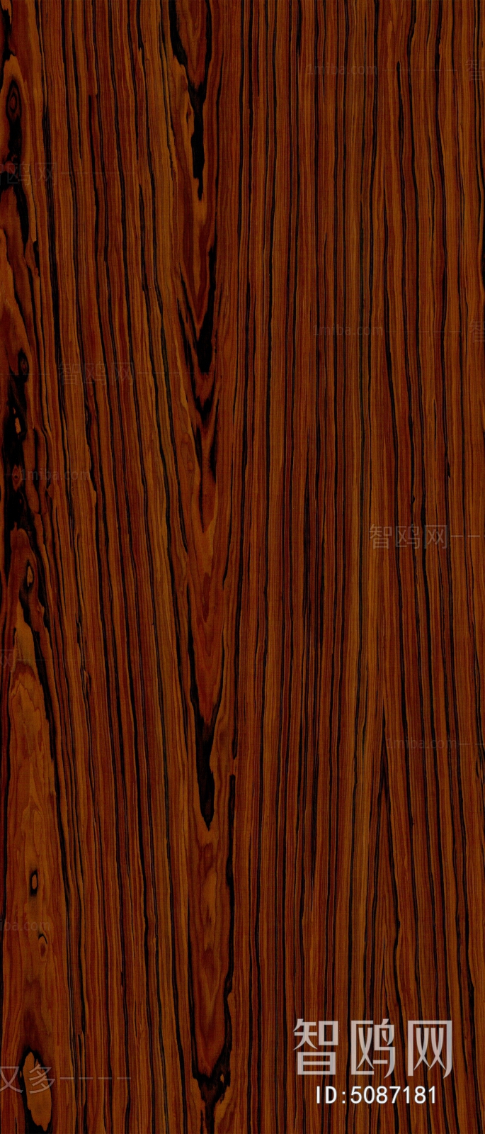 Wood Texture