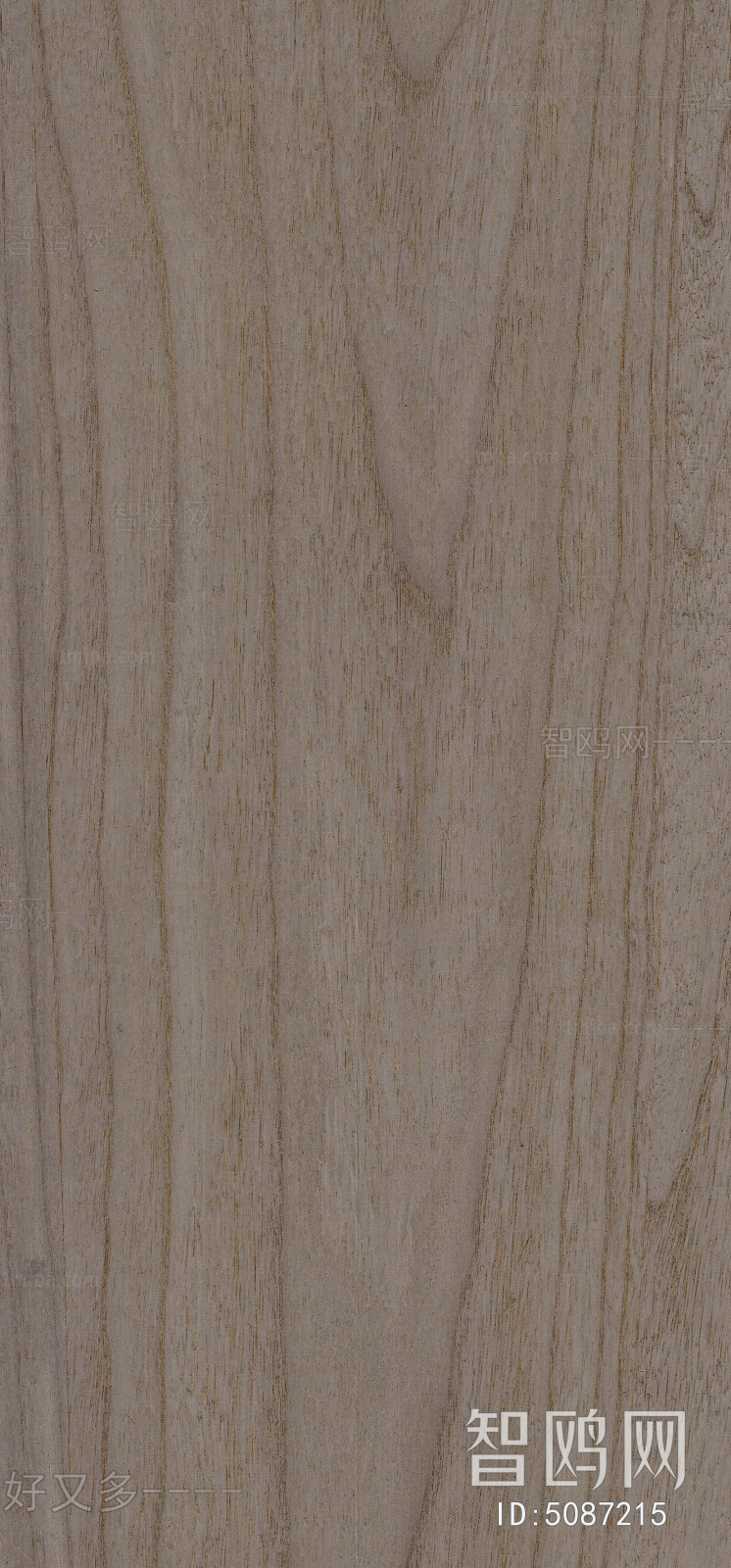 Wood Texture