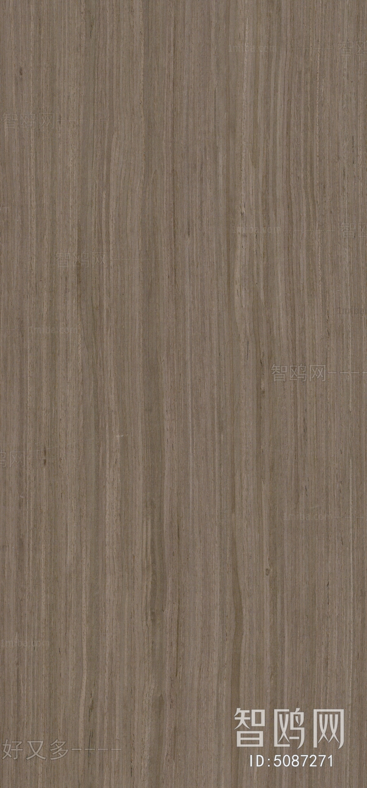 Wood Texture